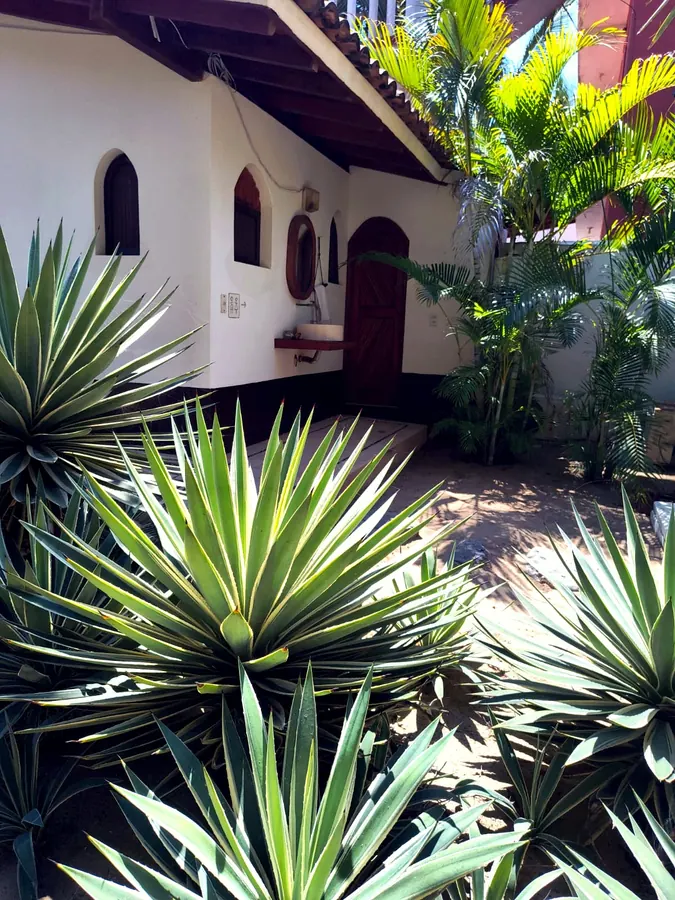 Garden path between the bungalows