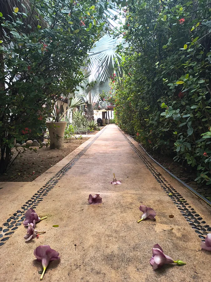 Garden walkway with flowers between the bungalows